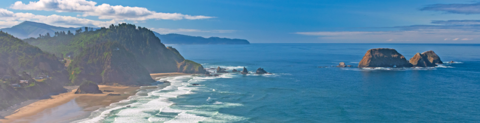 Discover Oregon State Parks: A Haven For Whale Watching Enthusiasts 