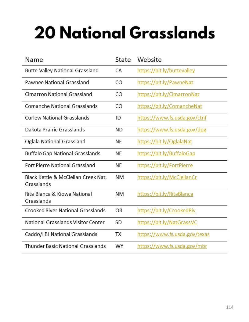 National Forests Bucket Journal - Printable