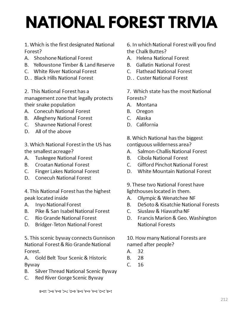 National Forests Bucket Journal - Printable