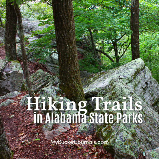Experience Trails for Every Hiking Level in Alabama State Parks