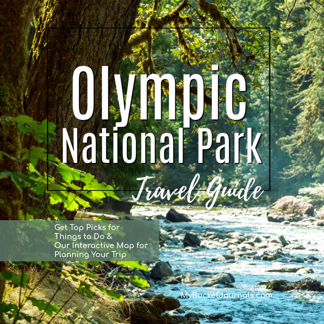 mountain stream and trees inside olympic national park