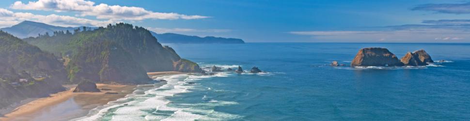 view from cape mears state scenic lookout with a text overlay saying Whale watching at oregon state parks