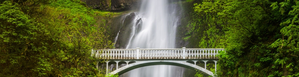 12 Oregon Waterfalls With Easy Accessibility