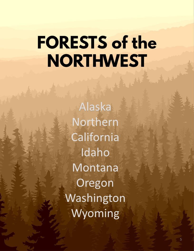 National Forests Bucket Journal - Spiral